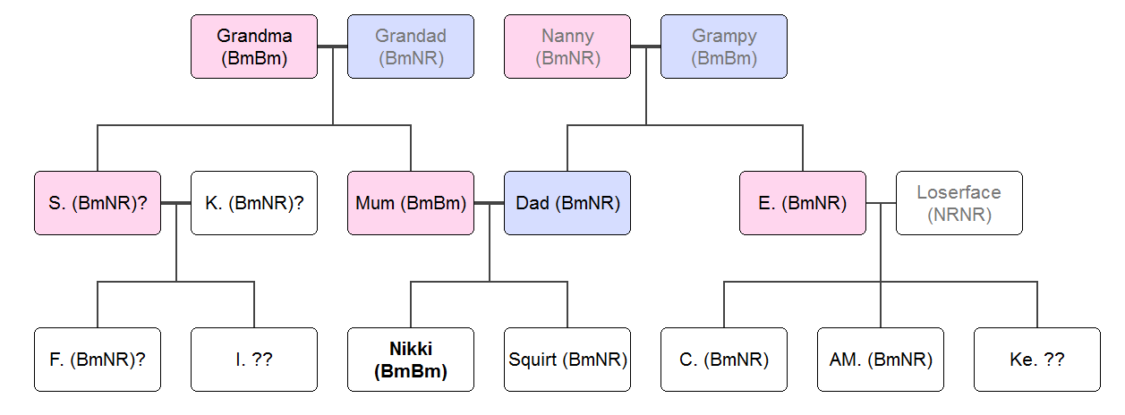 A family tree showing the "bookworm" genes throughout three generations of my family