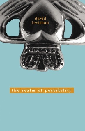 Cover of The Realm of Possibility by David Levithan