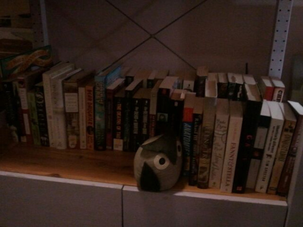 Another view of my bookshelves, showing off my owl bookends