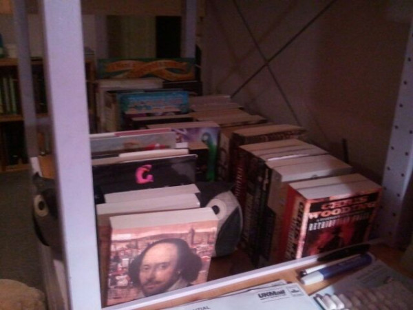 Photo of my makeshift bookshelves, crammed with books
