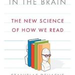 Cover of Reading in the Brain by Stanislaw Dehaene