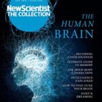 Cover of The Human Brain by New Scientist