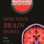 Cover of New Scientist: How Your Brain Works
