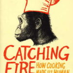 Cover of Catching Fire: How Cooking Made Us Human by Richard Wrangham