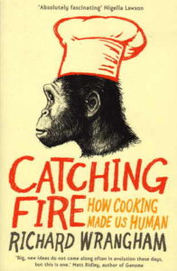 Cover of Catching Fire: How Cooking Made Us Human by Richard Wrangham