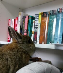 Breakfast looking at books