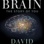 Cover of The Brain by David Eagleman