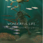 Cover of Wonderful Life by Stephen Jay Gould