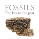 Cover of Fossils by Richard Fortey