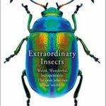 Cover of Extraordinary Insects by Anne Sverdrup-Thygeson
