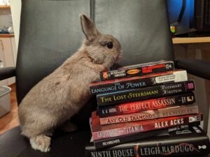 Pic of a small brown bunny standing up against a pile of books