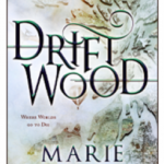Cover of Drift Wood by Marie Brennan