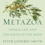 Cover of MetaZoa by Peter Godfrey-Smith