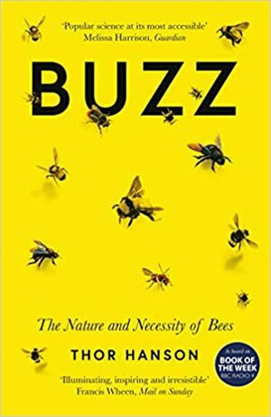 Review – Buzz