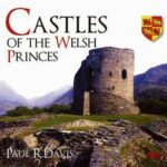 Cover of Castles of the Welsh Princes by Paul R. Davis