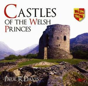 Review – Castles of the Welsh Princes