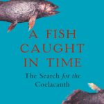Cover of A Fish Caught in Time by Samantha Weinberg