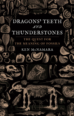 Review – Dragons’ Teeth and Thunderstones
