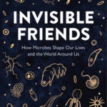 Cover of Invisible Friends by Jake M. Robinson