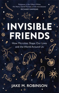 Cover of Invisible Friends by Jake M. Robinson