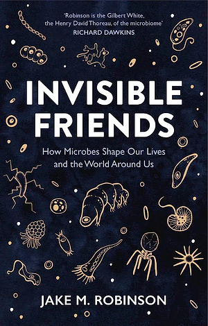 Review – Invisible Friends