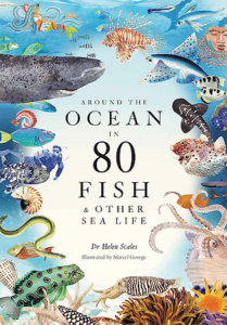 Cover of Around the Ocean in 80 Fish & Other Sea Life by Helen Scales