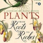 Cover of Plants: From Roots to Riches by Kathy Willis and Carolyn Fry