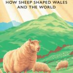 Cover of Sheeplands: How Sheep Shaped Wales and the World by Alan Marshall