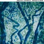 Cover of Missel-Child by Helen Tookey