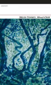 Cover of Missel-Child by Helen Tookey