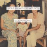Cover of Night Sky With Exit Wounds by Ocean Vuong