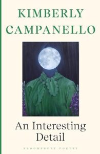 Cover of An Interesting Detail by Kimberly Campanello