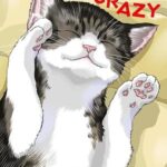Cover of Cat + Crazy vol 1 by Wataru Nadatani