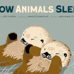 Cover of How Animals Sleep by Jiří Dvořák