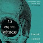 Cover of An Expert Witness by Sue Black