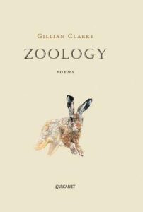 Cover of Zoology by Gillian Clarke