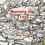 Cover of Naming the Trees by Ness Owen