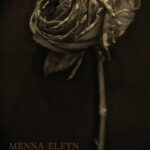 Cover of Bondo by Menna Elfyn