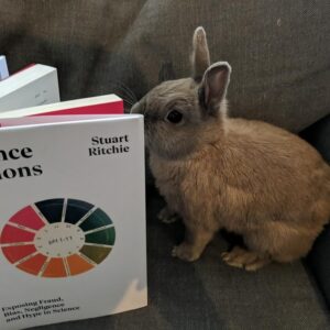 Photo of a rabbit sat on a chair "reading" a hardback book